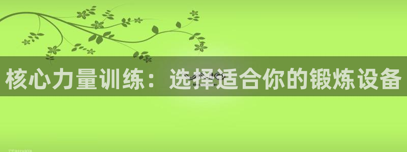 fb体育平台假的吗是真的吗吗：核心力量训练：选择适合