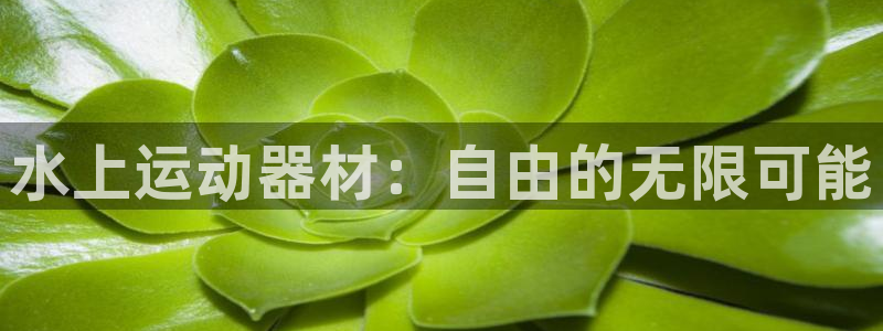 fb体育娱乐代理怎么样：水上运动器材：自由的无限可能