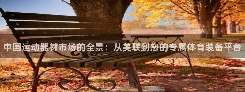 fb体育平台是正规平台吗：中国运动器材市场的全景：从