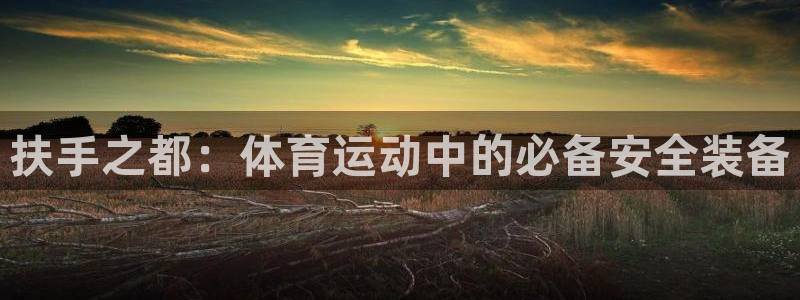 fb集团官网：扶手之都：体育运动中的必备安全装备