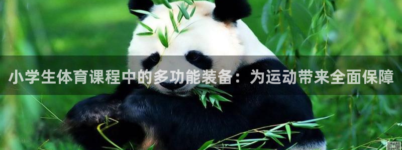 fb体育招商电话是多少号码：小学生体育课程中的多功能