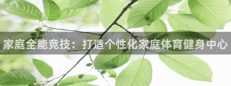 fb体育招商电话是多少：家庭全能竞技：打造个性化家庭体育健身