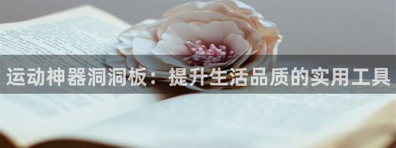 fb体育娱乐：运动神器洞洞板：提升生活品质的实用工具