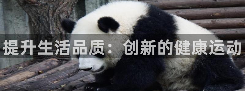fb体育招商电话地址查询：提升生活品质：创新的健康运