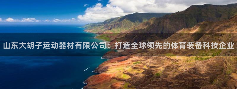 fb体育平台：山东大胡子运动器材有限公司：打造全球领先的体育