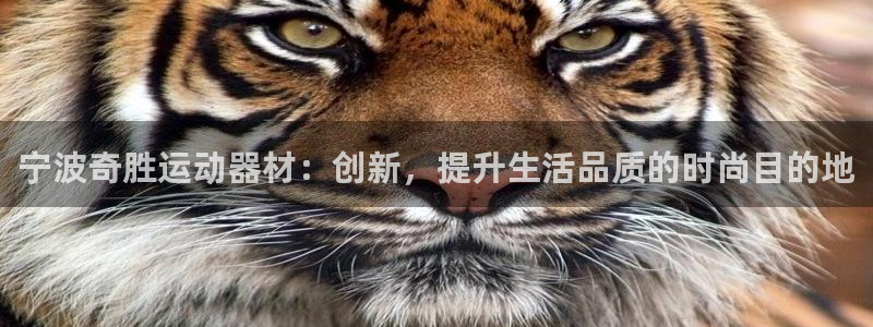 fb体育新能源：宁波奇胜运动器材：创新，提升生活品质的时尚目