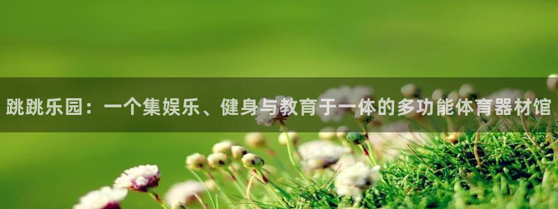 fb体育平台注册流程视频：跳跳乐园：一个集娱乐、健身