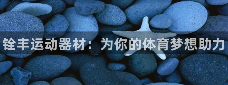 fb体育平台APP：铨丰运动器材：为你的体育梦想助力